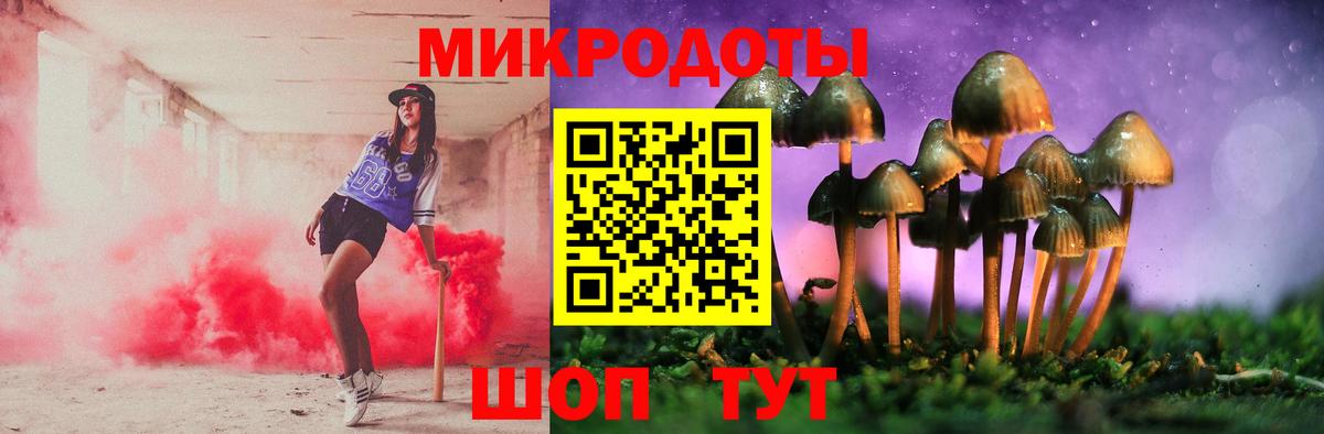 наркотики  Псилоцибиновые грибы Psilocybine cubensis  Вход с VPN  Рассказово 